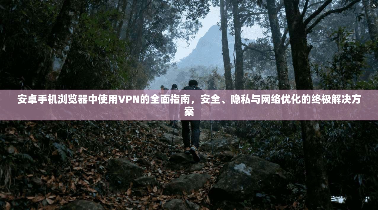 安卓手机浏览器中使用VPN的全面指南，安全、隐私与网络优化的终极解决方案