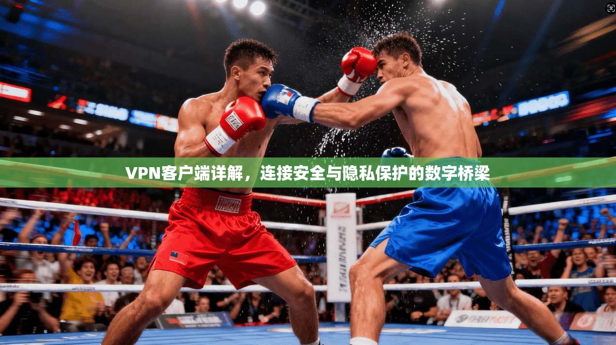 VPN客户端详解，连接安全与隐私保护的数字桥梁