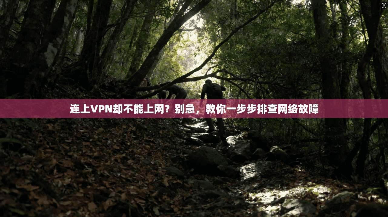 连上VPN却不能上网？别急，教你一步步排查网络故障
