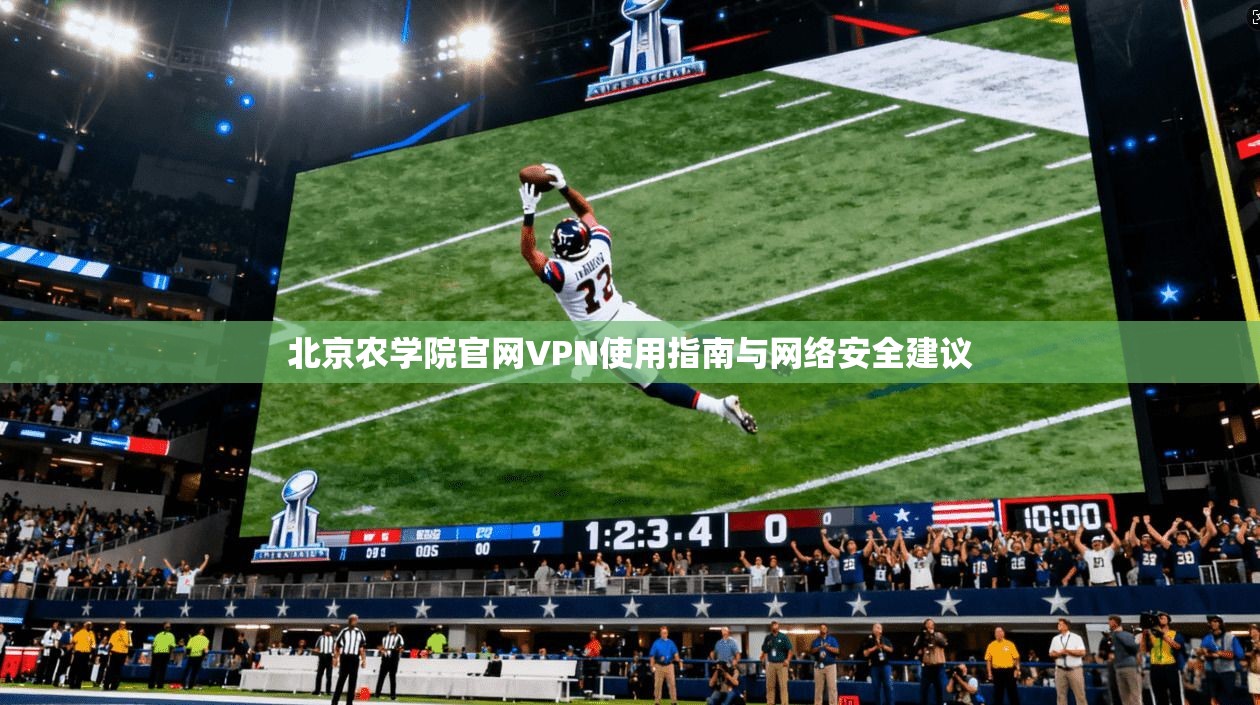 北京农学院官网VPN使用指南与网络安全建议
