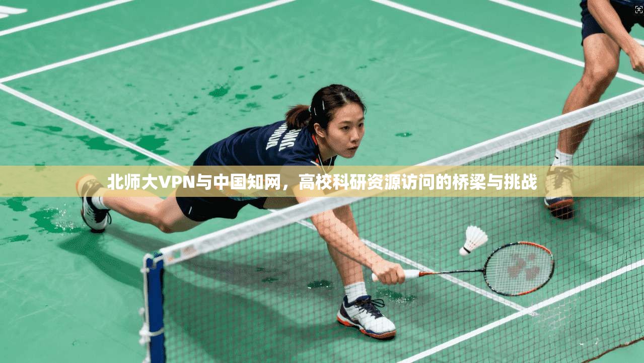 北师大VPN与中国知网，高校科研资源访问的桥梁与挑战