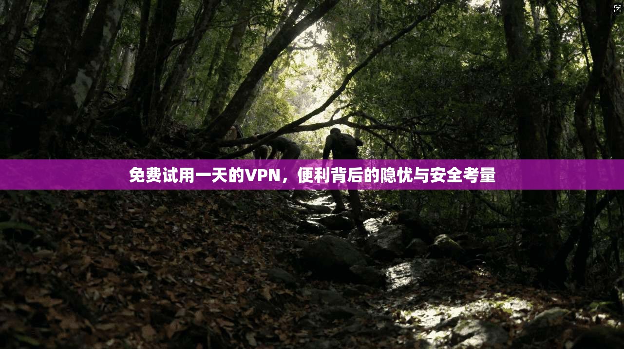 免费试用一天的VPN,便利背后的隐忧与安全考量