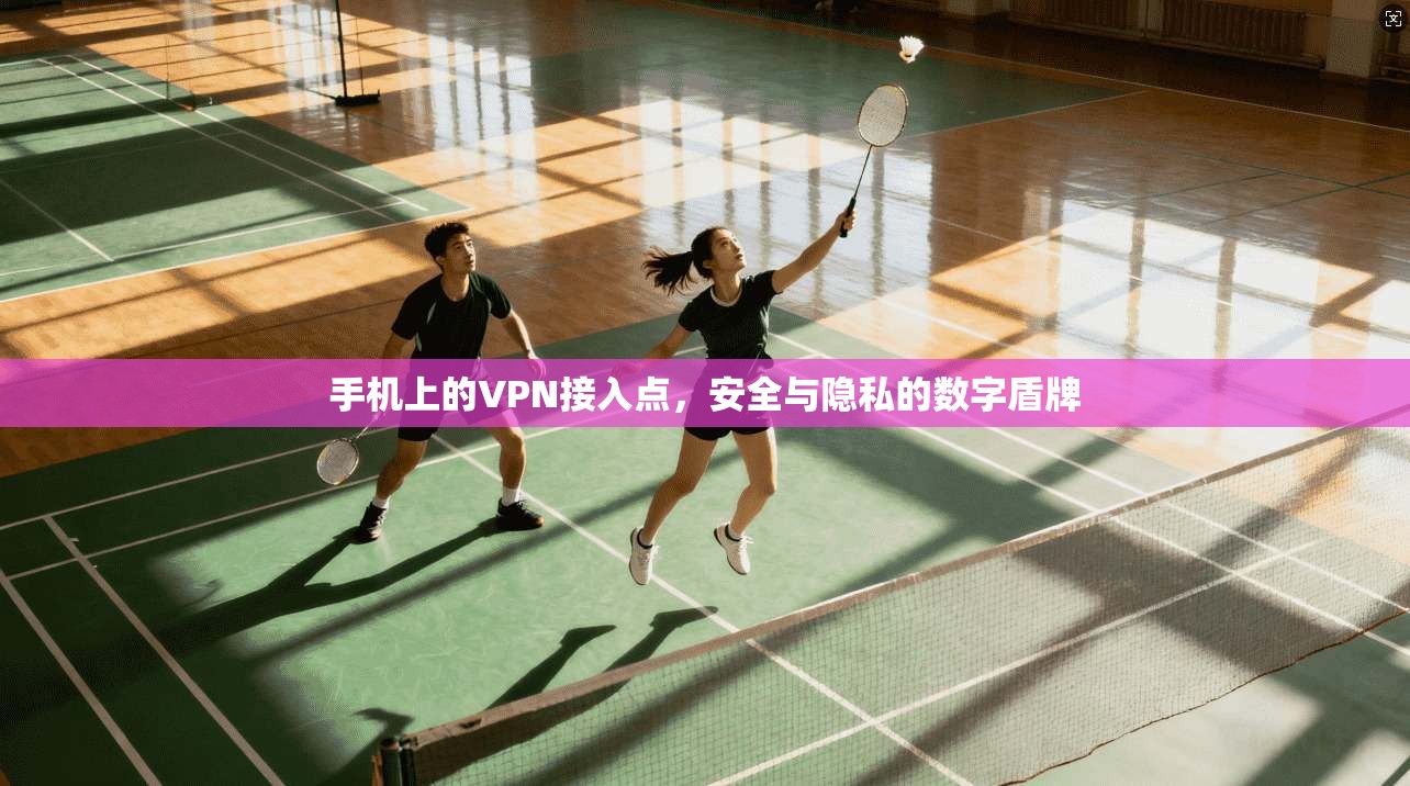 手机上的VPN接入点,安全与隐私的数字盾牌