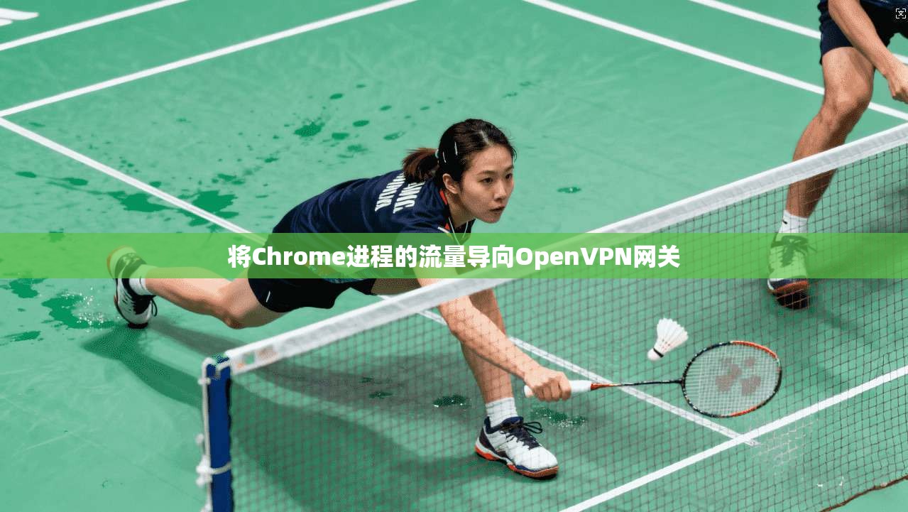 将Chrome进程的流量导向OpenVPN网关
