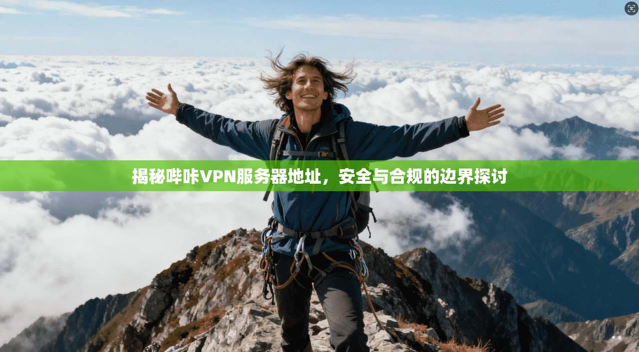 揭秘哔咔VPN服务器地址，安全与合规的边界探讨