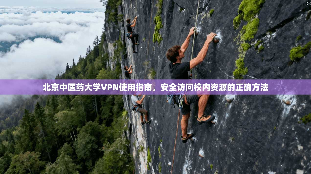 北京中医药大学VPN使用指南，安全访问校内资源的正确方法