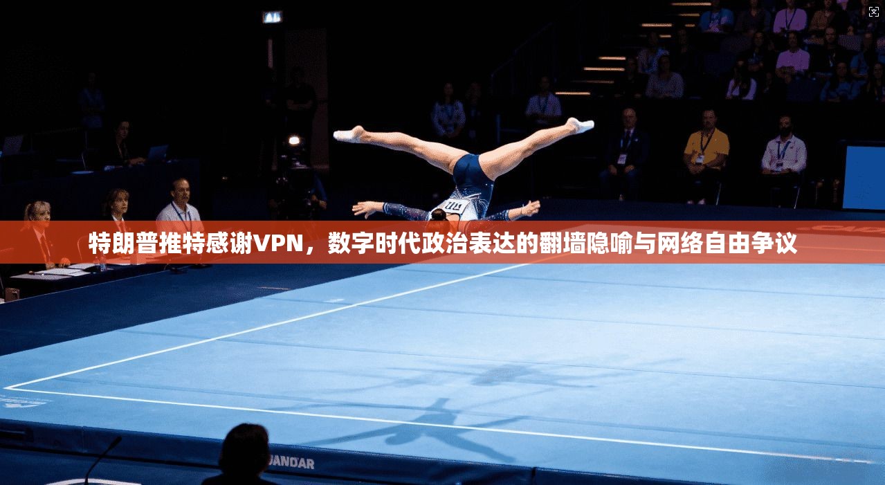 特朗普推特感谢VPN,数字时代政治表达的翻墙隐喻与网络自由争议