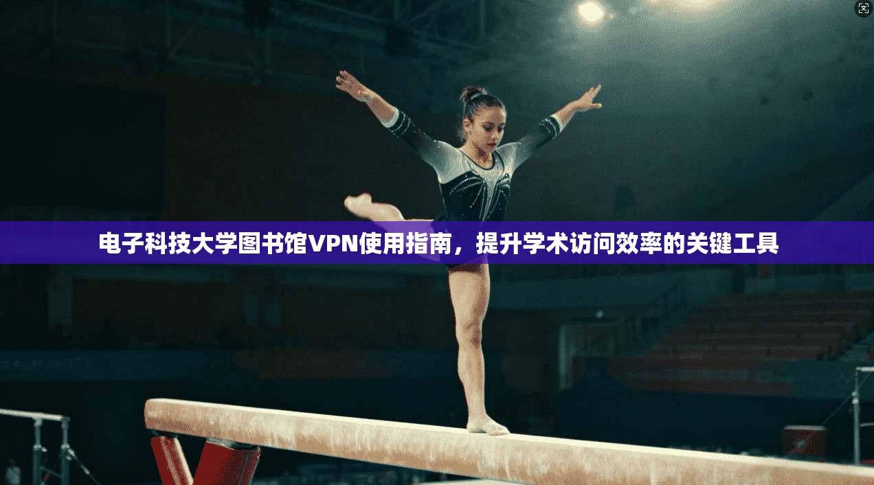 电子科技大学图书馆VPN使用指南,提升学术访问效率的关键工具