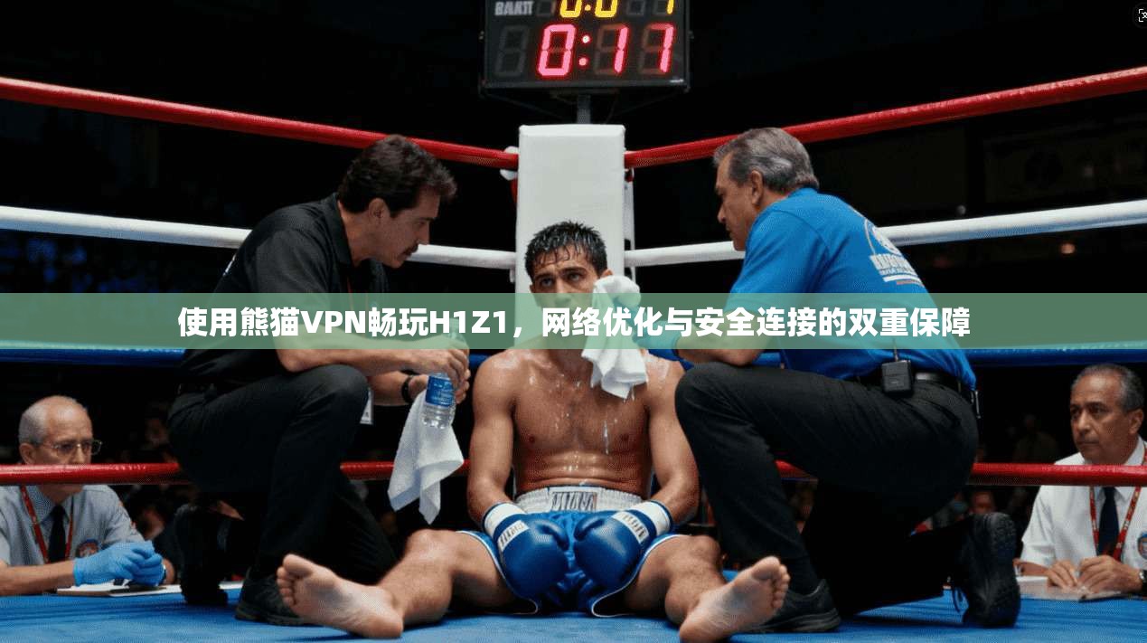 使用熊猫VPN畅玩H1Z1，网络优化与安全连接的双重保障