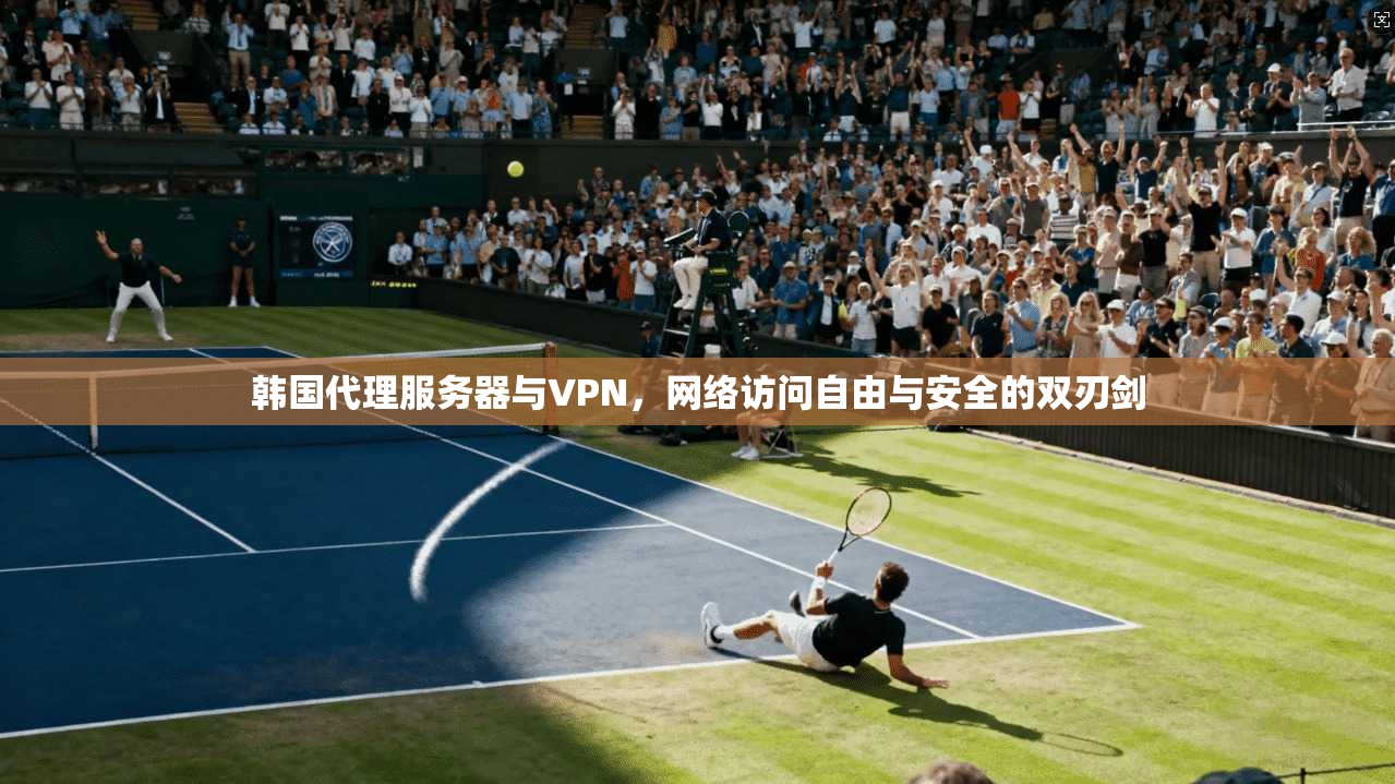 韩国代理服务器与VPN，网络访问自由与安全的双刃剑