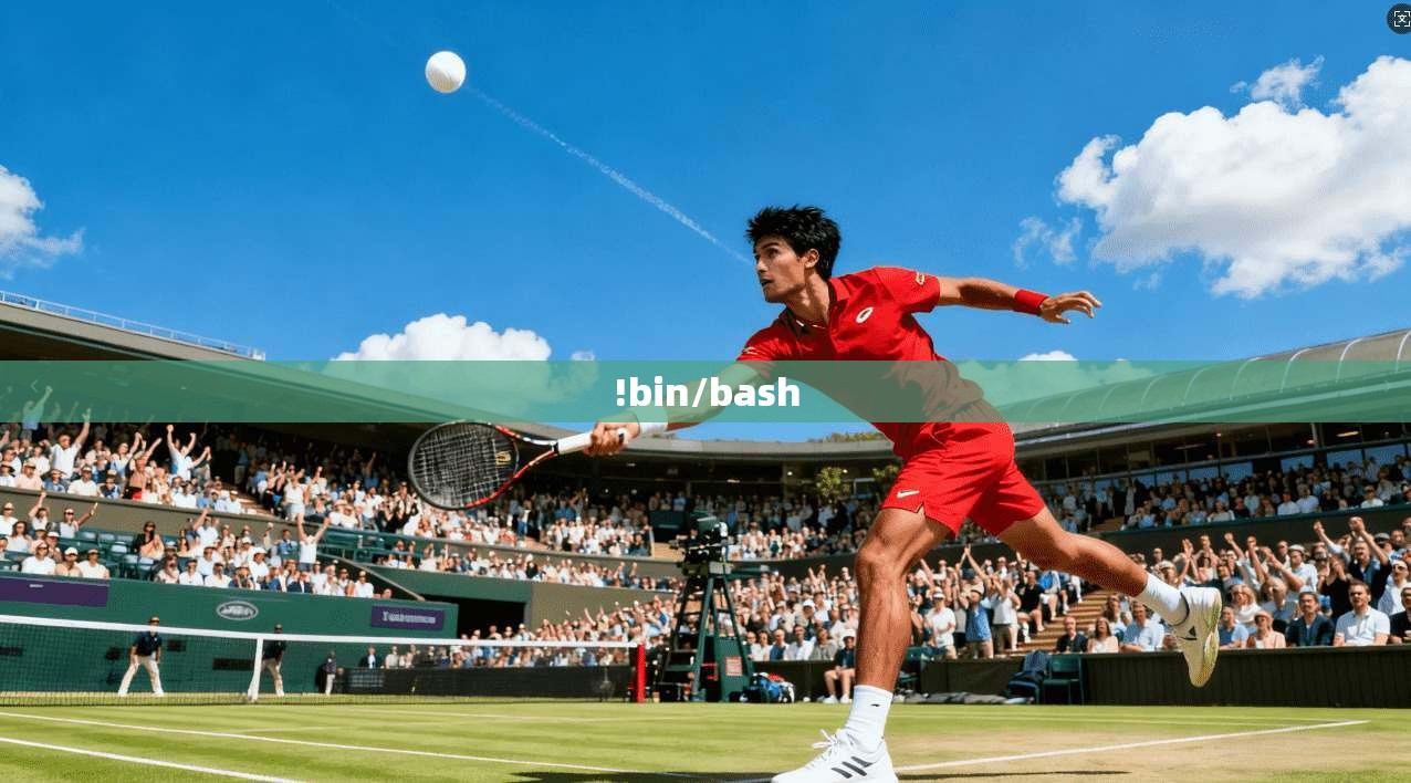 !bin/bash