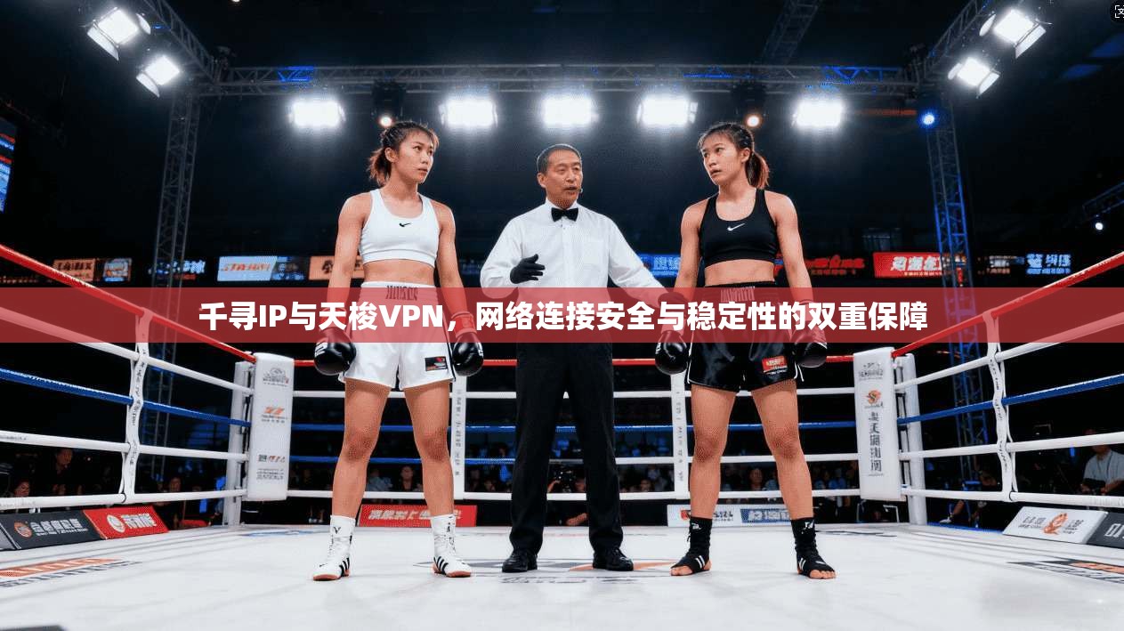 千寻IP与天梭VPN，网络连接安全与稳定性的双重保障