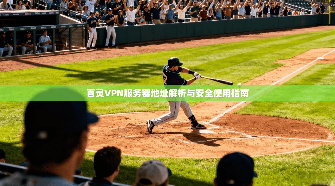 百灵VPN服务器地址解析与安全使用指南