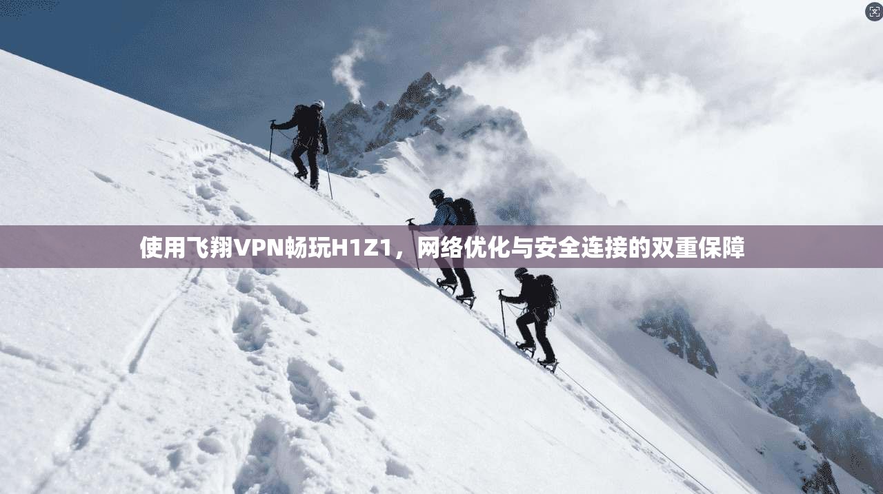使用飞翔VPN畅玩H1Z1，网络优化与安全连接的双重保障