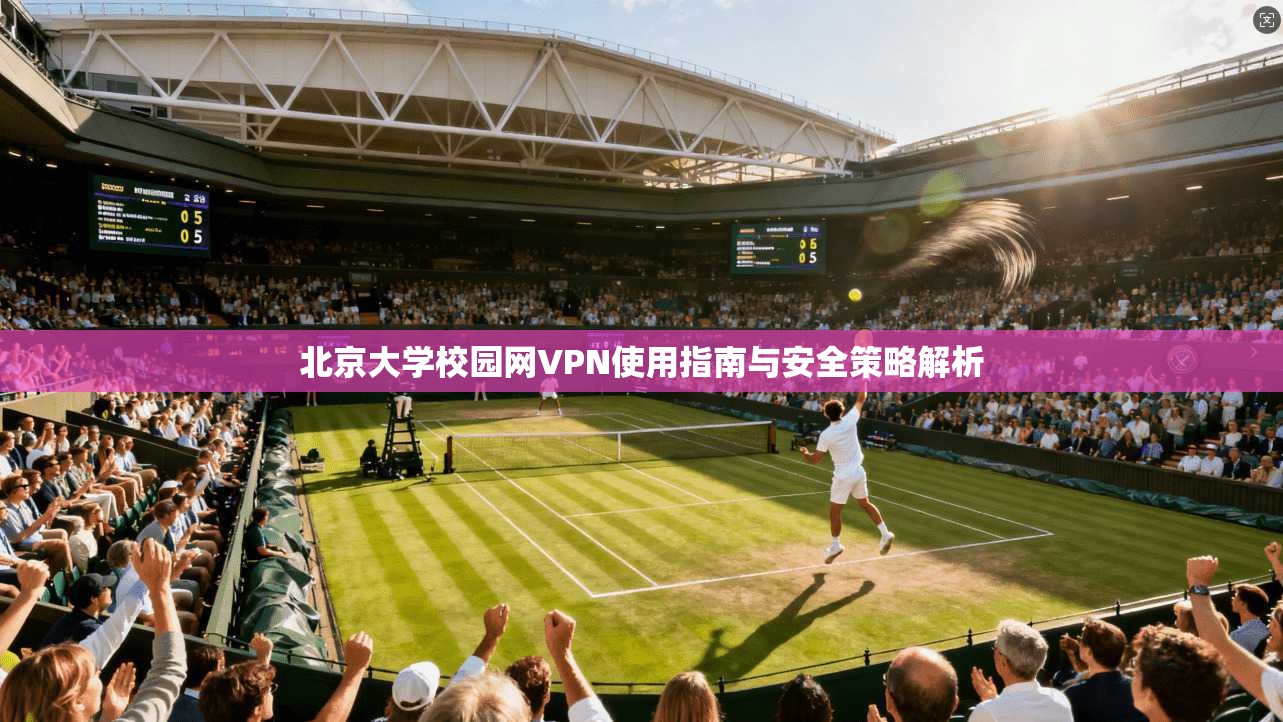 北京大学校园网VPN使用指南与安全策略解析