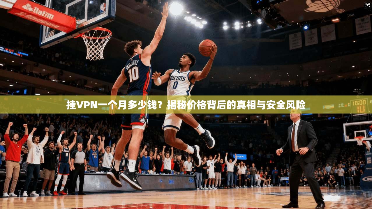 挂VPN一个月多少钱？揭秘价格背后的真相与安全风险