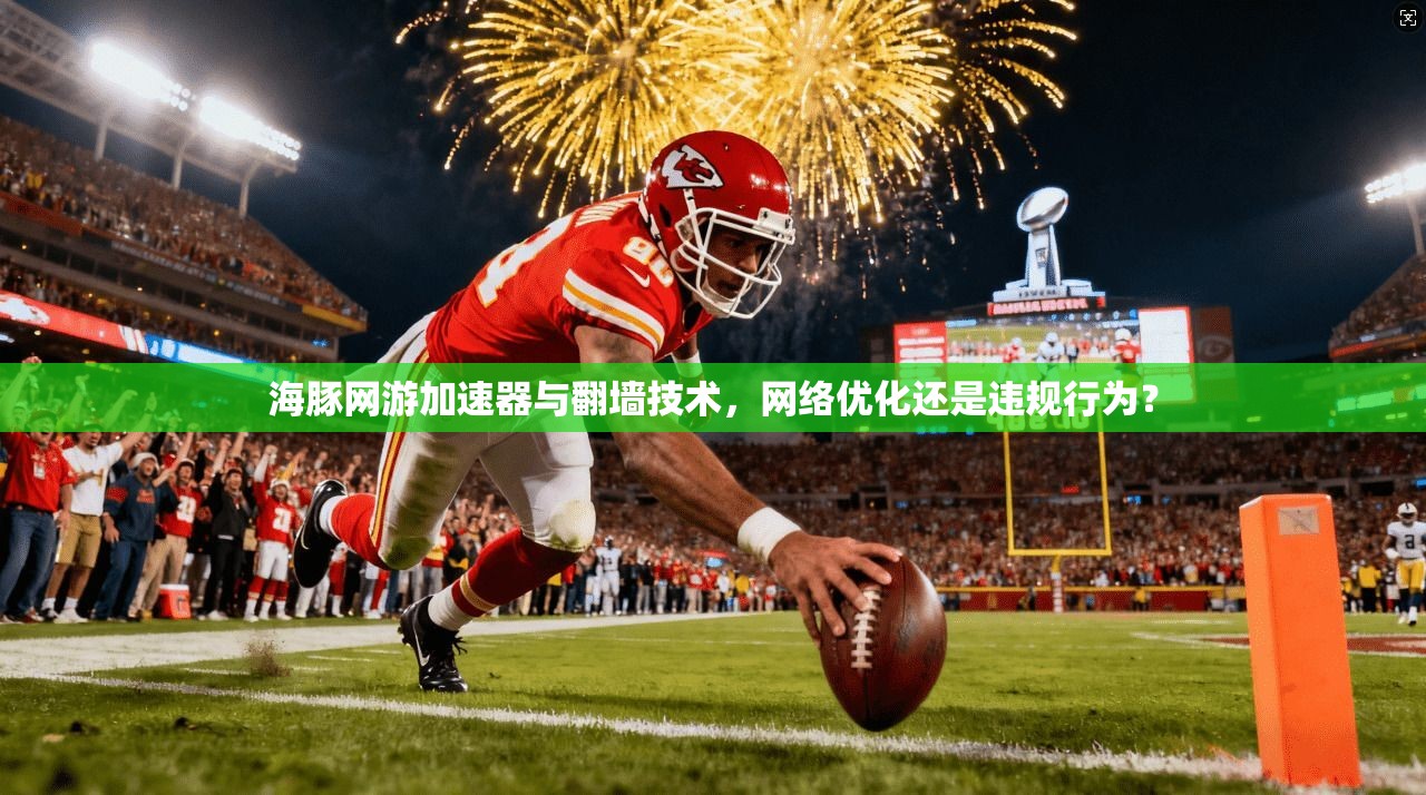 海豚网游加速器与翻墙技术，网络优化还是违规行为？