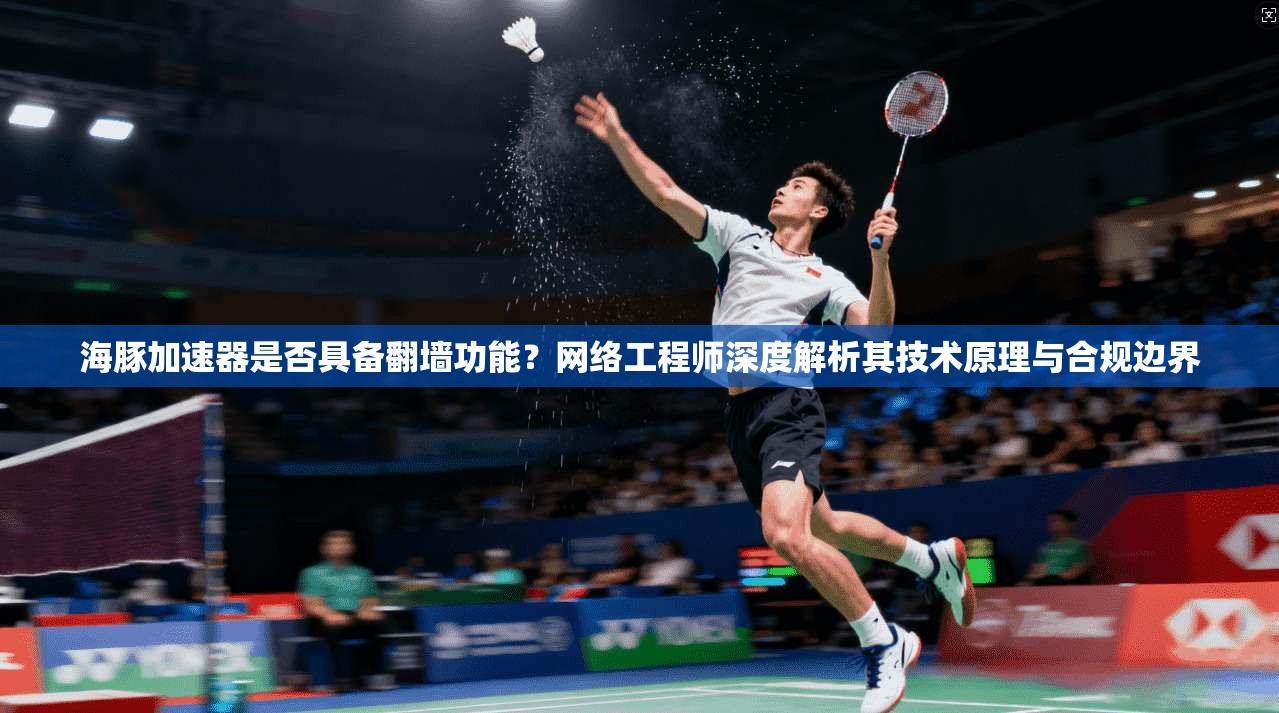 海豚加速器是否具备翻墙功能？网络工程师深度解析其技术原理与合规边界