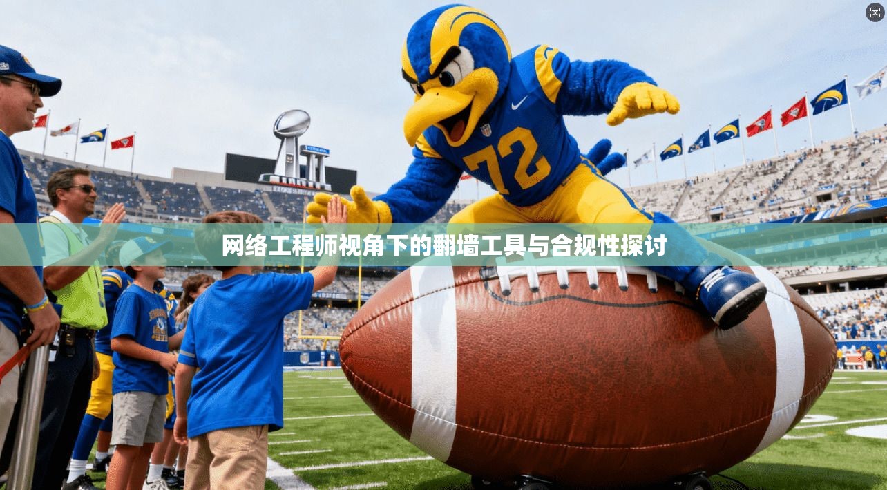 网络工程师视角下的翻墙工具与合规性探讨