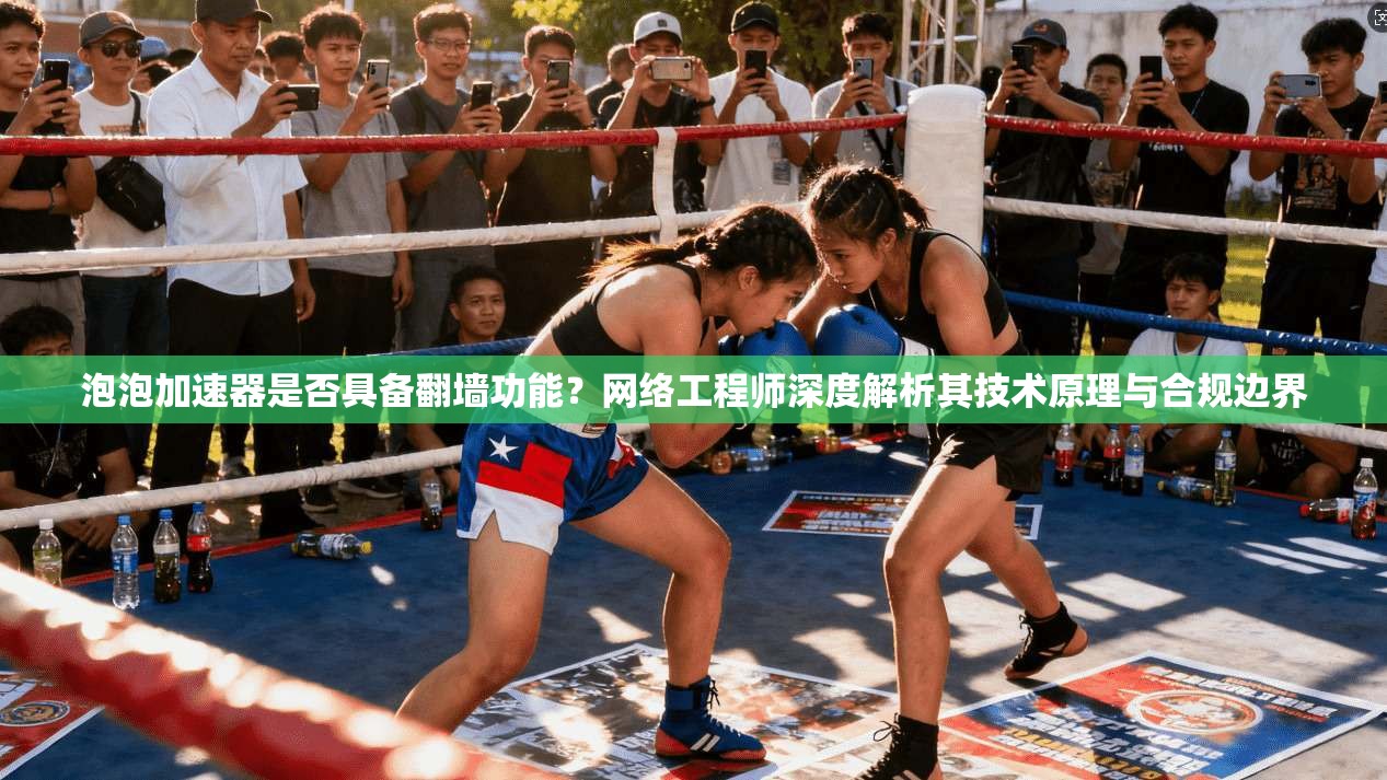 泡泡加速器是否具备翻墙功能？网络工程师深度解析其技术原理与合规边界