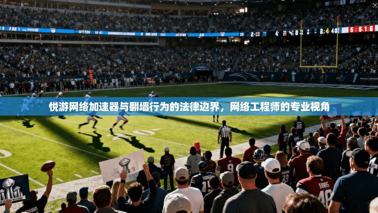 悦游网络加速器与翻墙行为的法律边界,网络工程师的专业视角