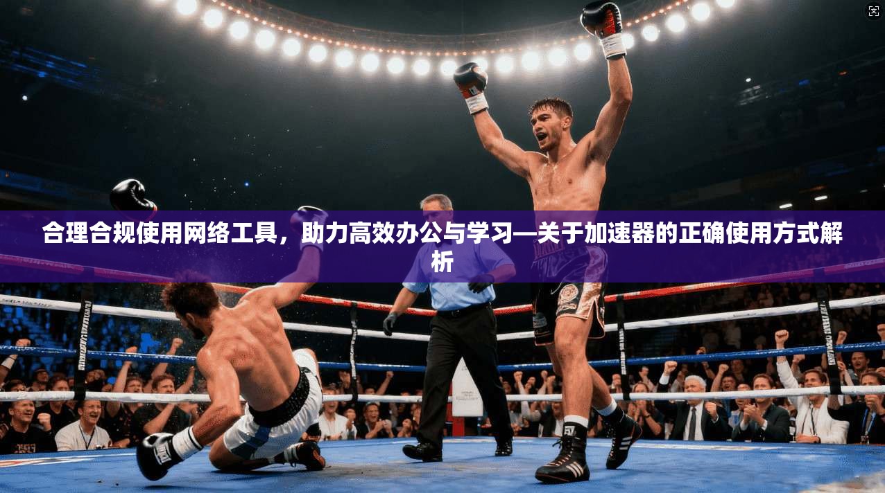 合理合规使用网络工具，助力高效办公与学习—关于加速器的正确使用方式解析