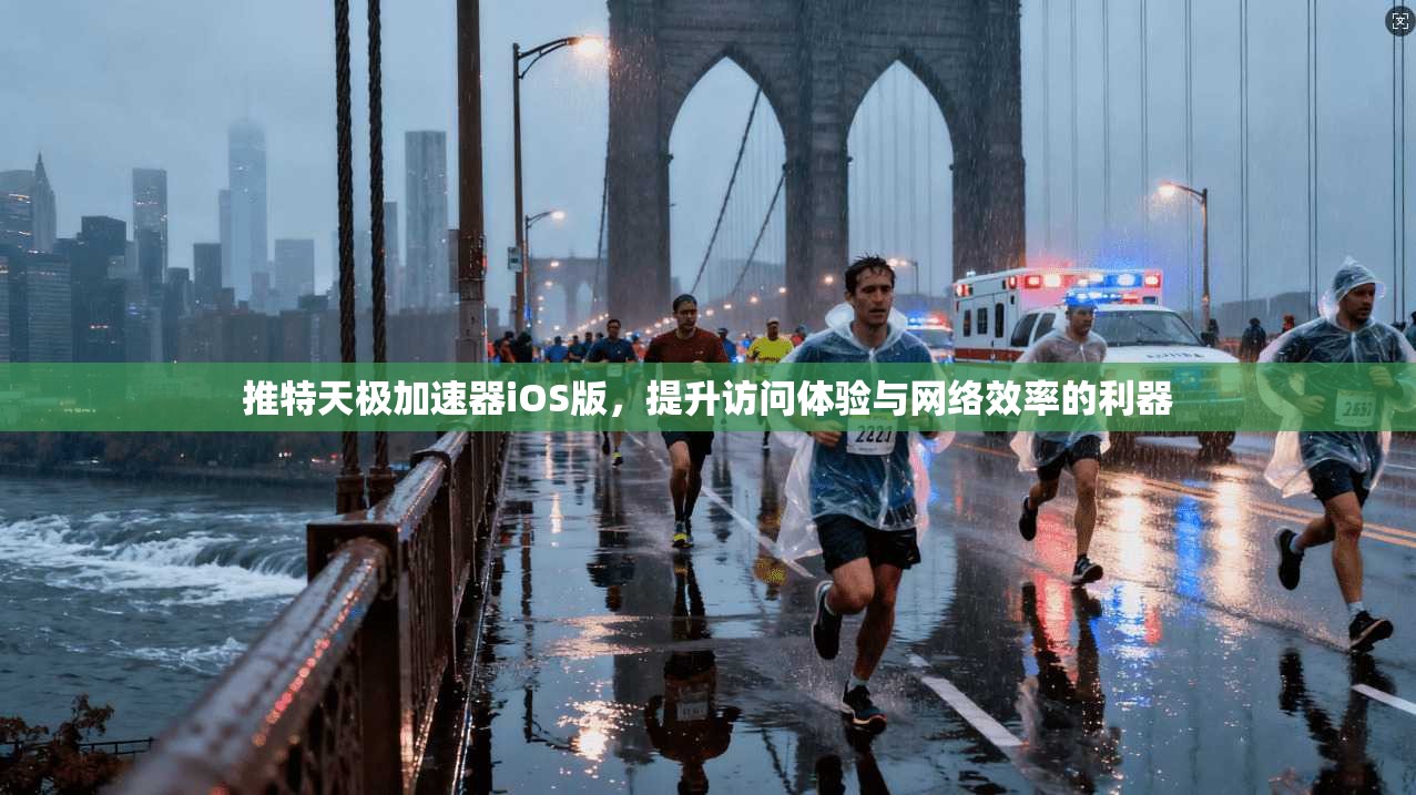 推特天极加速器iOS版,提升访问体验与网络效率的利器