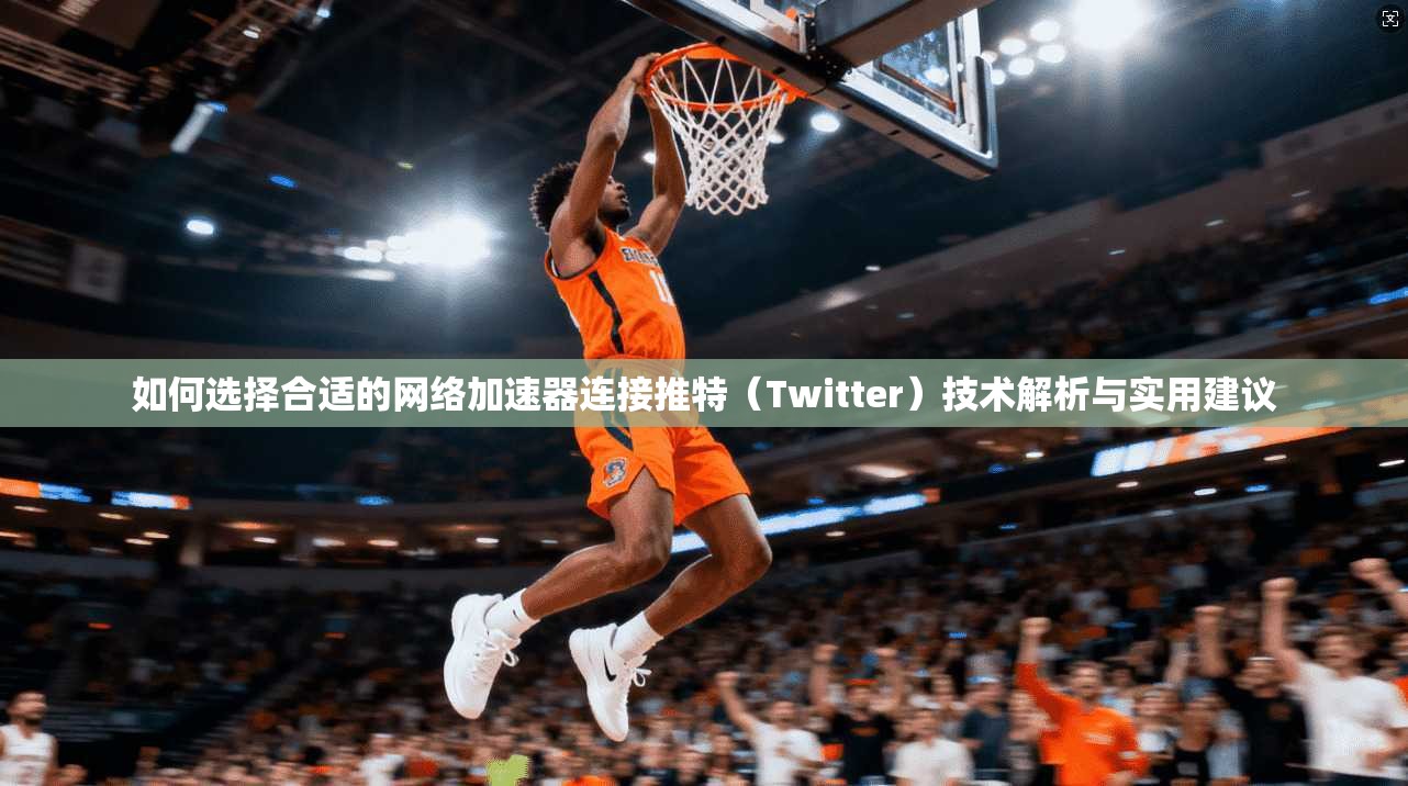 如何选择合适的网络加速器连接推特（Twitter）技术解析与实用建议