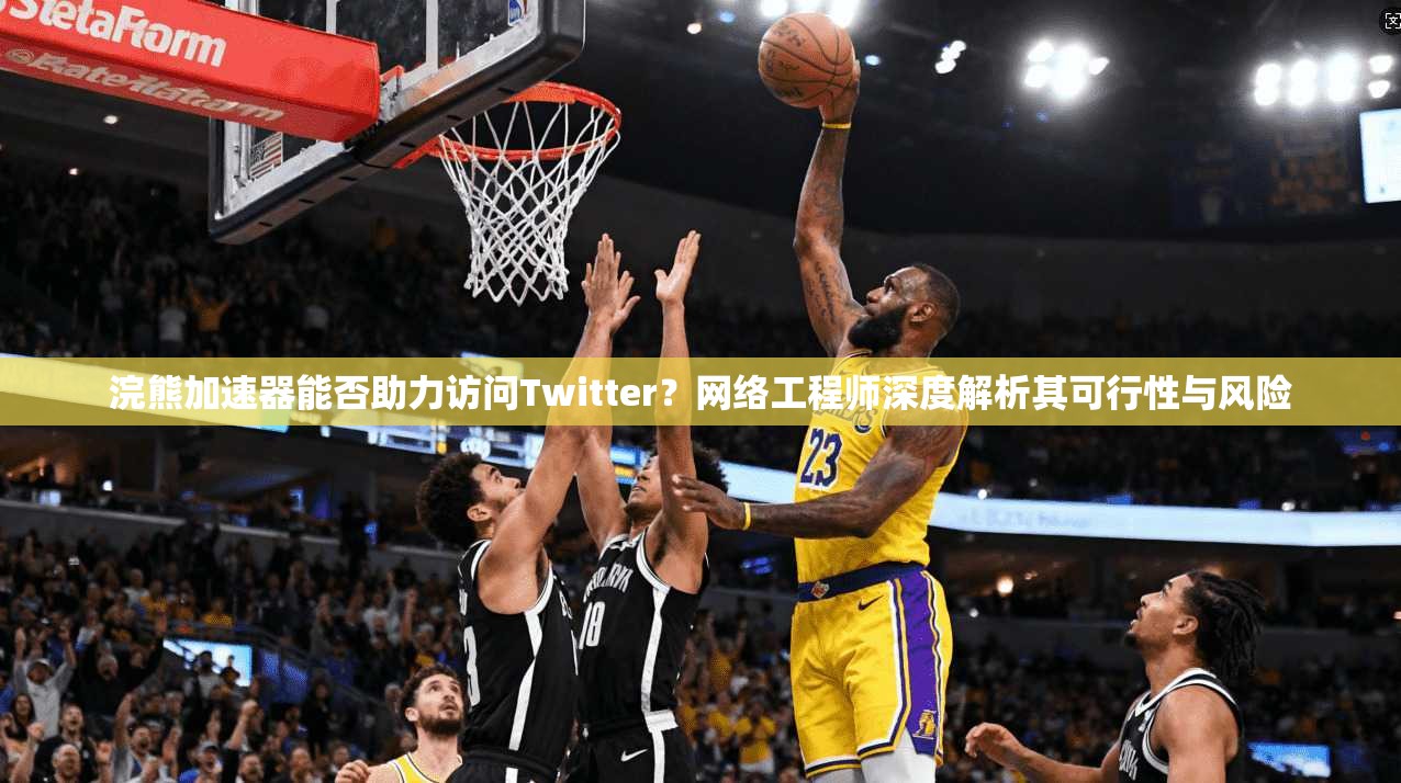 浣熊加速器能否助力访问Twitter?网络工程师深度解析其可行性与风险