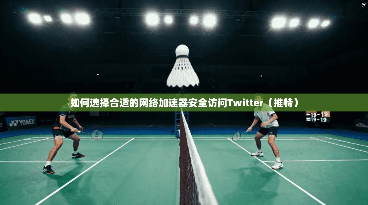 如何选择合适的网络加速器安全访问Twitter（推特）