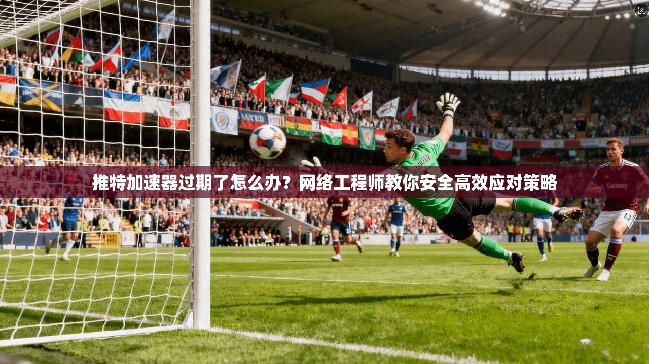 推特加速器过期了怎么办？网络工程师教你安全高效应对策略