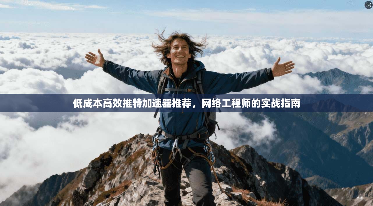 低成本高效推特加速器推荐,网络工程师的实战指南