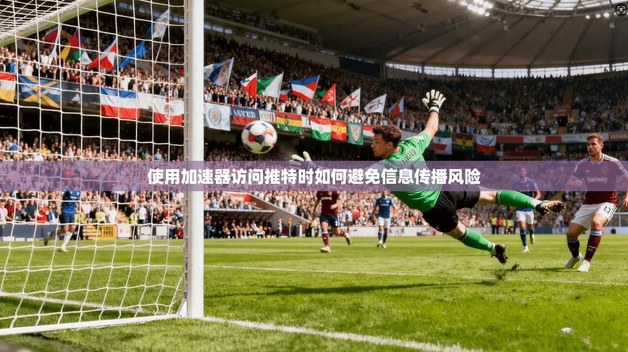 使用加速器访问推特时如何避免信息传播风险