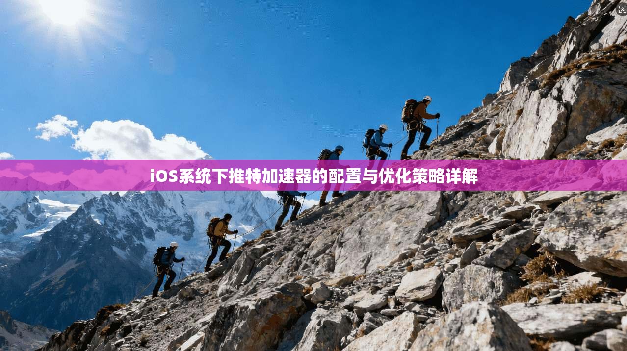 iOS系统下推特加速器的配置与优化策略详解