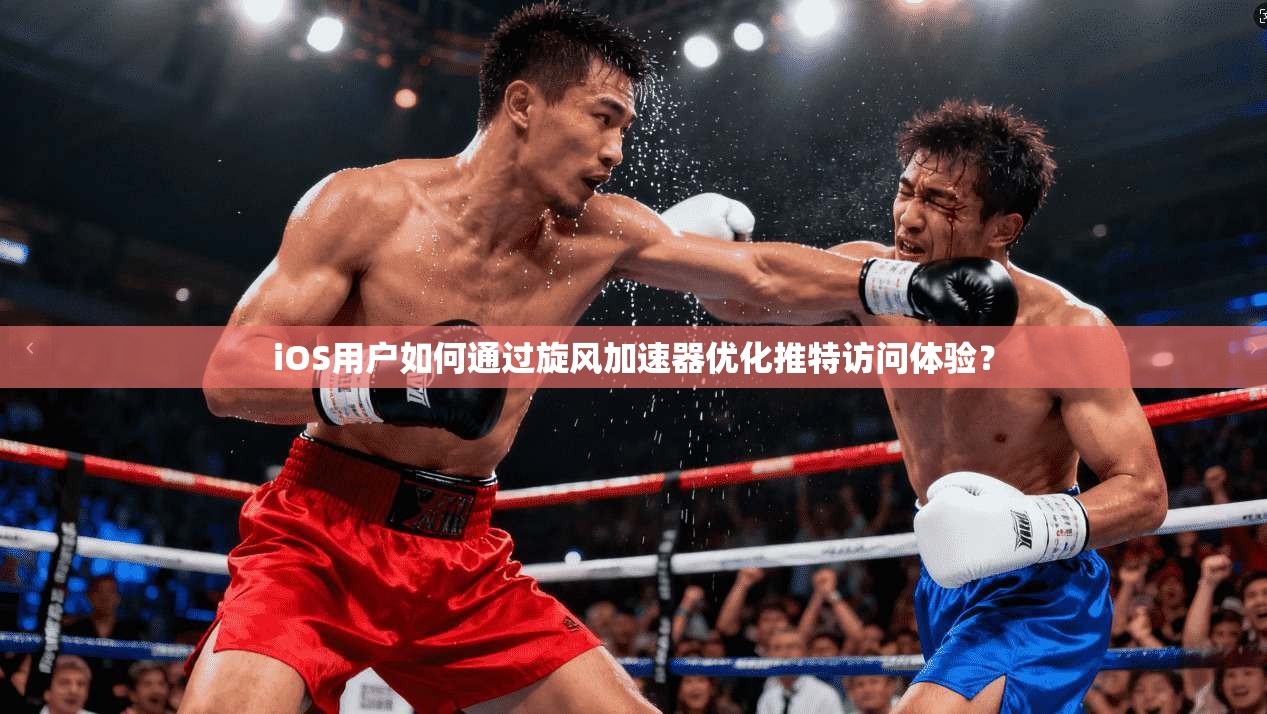 iOS用户如何通过旋风加速器优化推特访问体验?