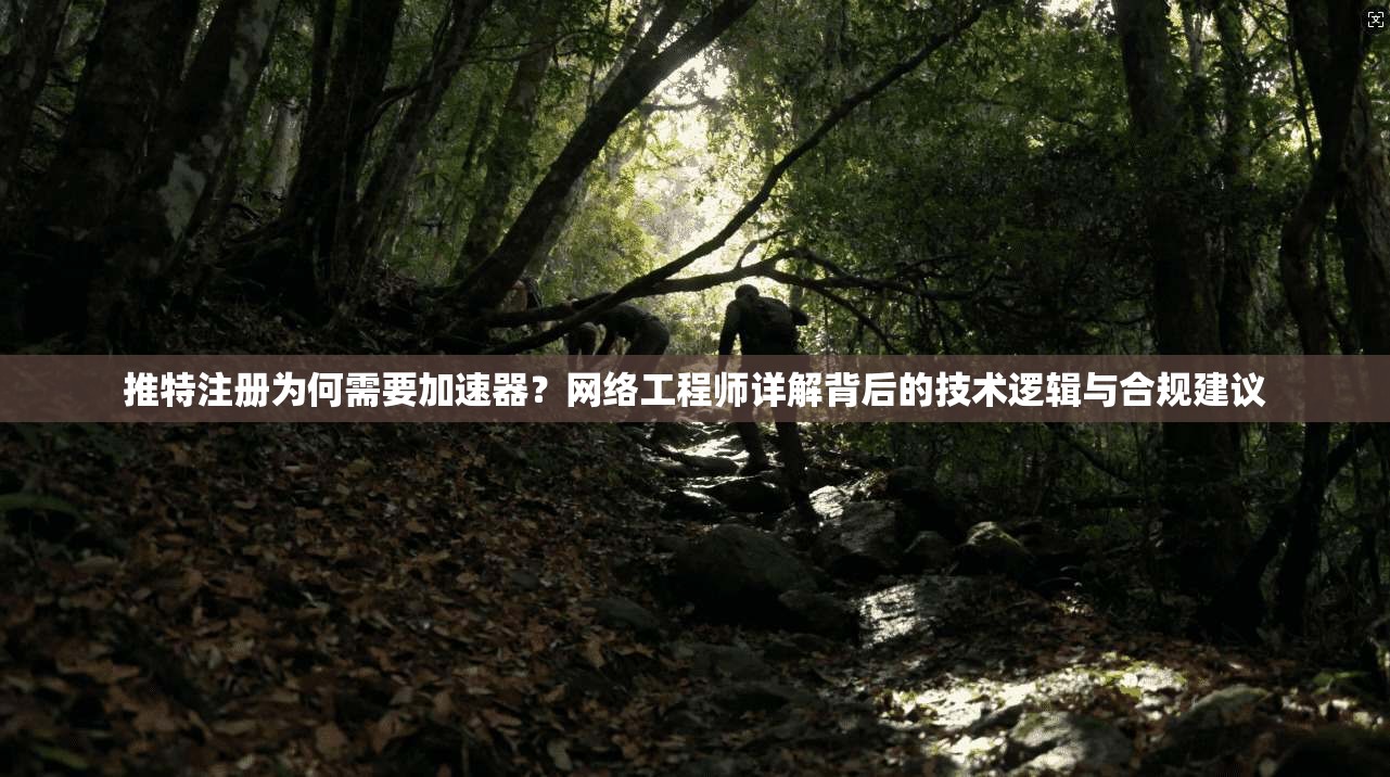 推特注册为何需要加速器？网络工程师详解背后的技术逻辑与合规建议