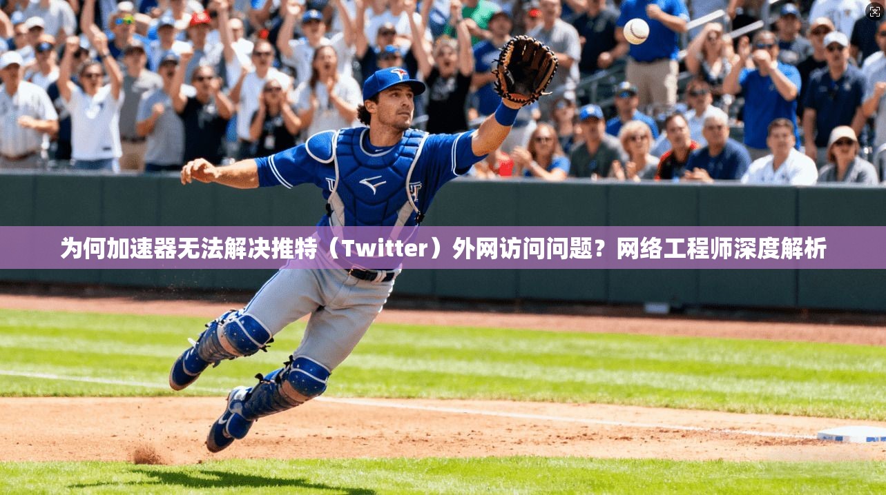 为何加速器无法解决推特（Twitter）外网访问问题？网络工程师深度解析