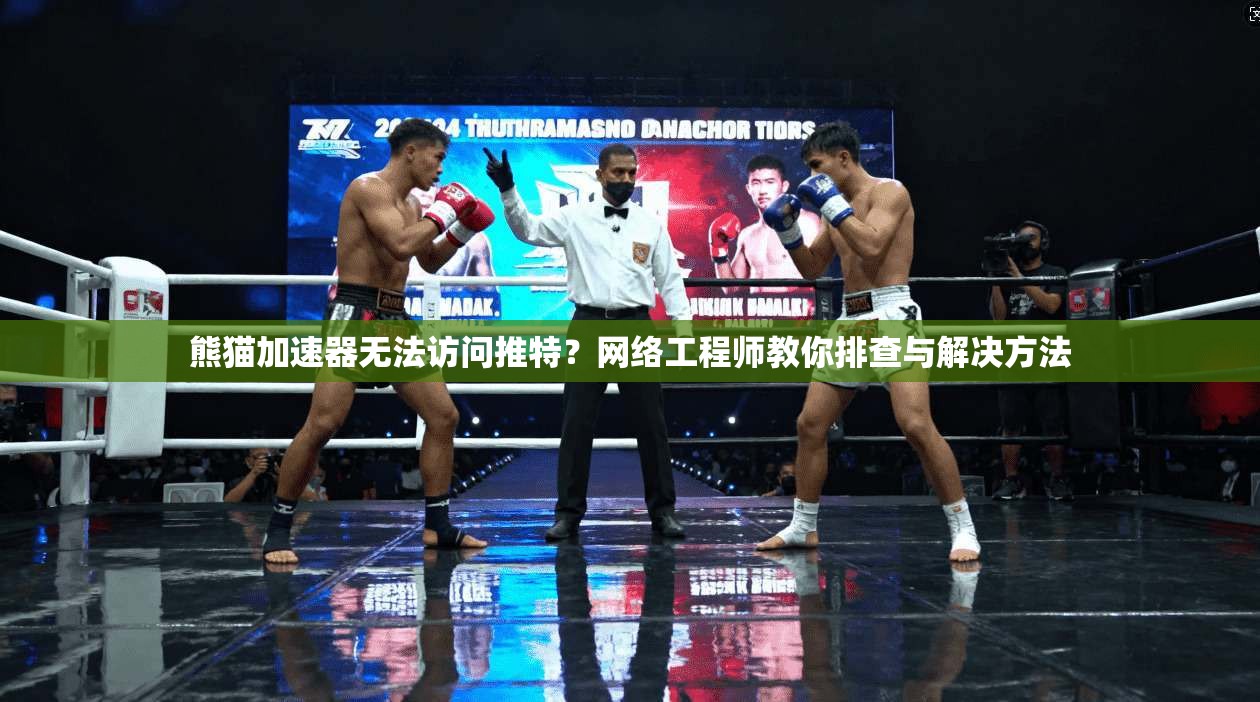 熊猫加速器无法访问推特？网络工程师教你排查与解决方法