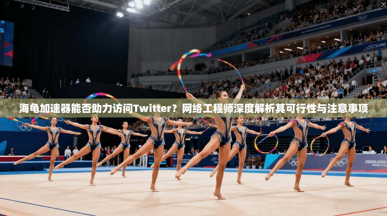 海龟加速器能否助力访问Twitter？网络工程师深度解析其可行性与注意事项