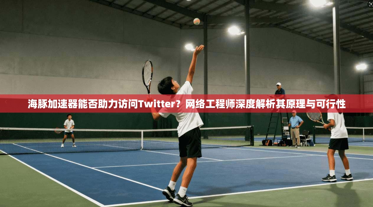 海豚加速器能否助力访问Twitter？网络工程师深度解析其原理与可行性
