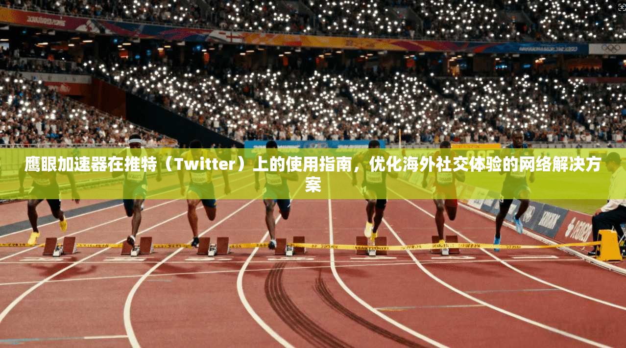 鹰眼加速器在推特（Twitter）上的使用指南，优化海外社交体验的网络解决方案