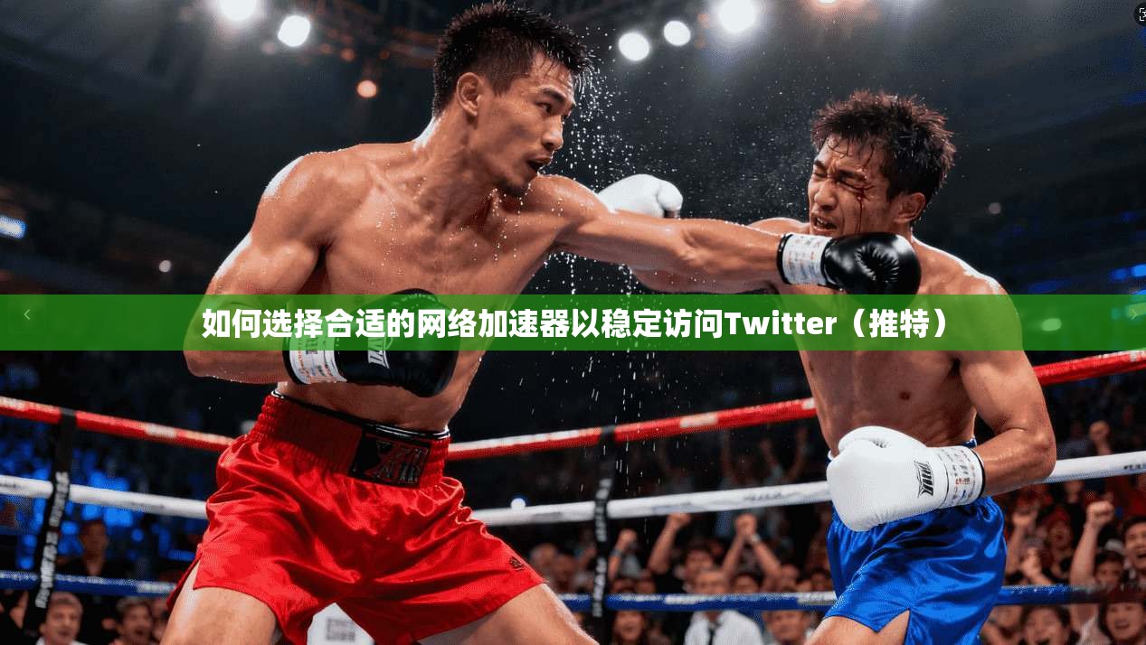 如何选择合适的网络加速器以稳定访问Twitter（推特）
