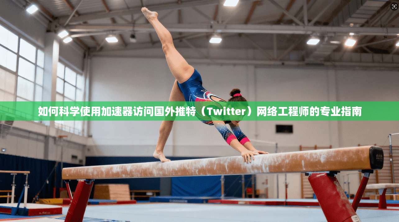 如何科学使用加速器访问国外推特（Twitter）网络工程师的专业指南