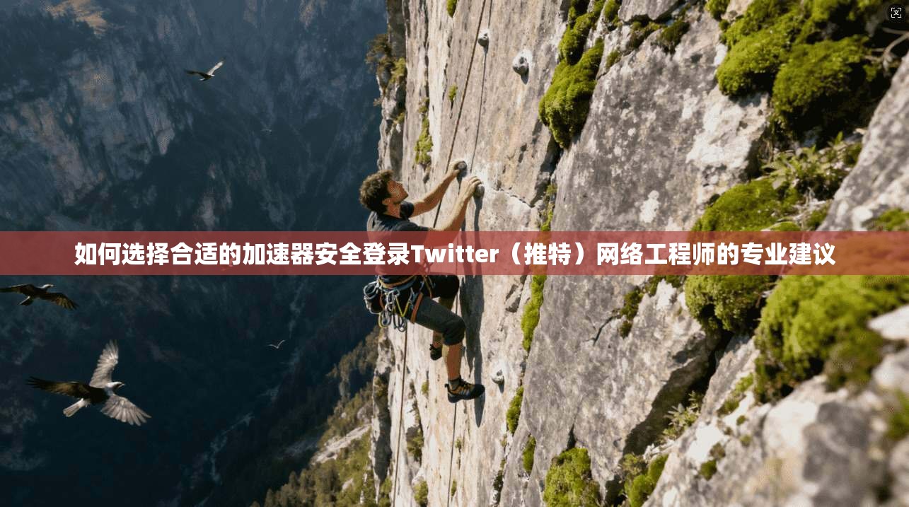 如何选择合适的加速器安全登录Twitter（推特）网络工程师的专业建议