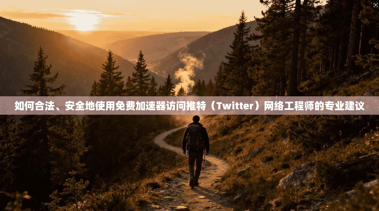 如何合法、安全地使用免费加速器访问推特（Twitter）网络工程师的专业建议