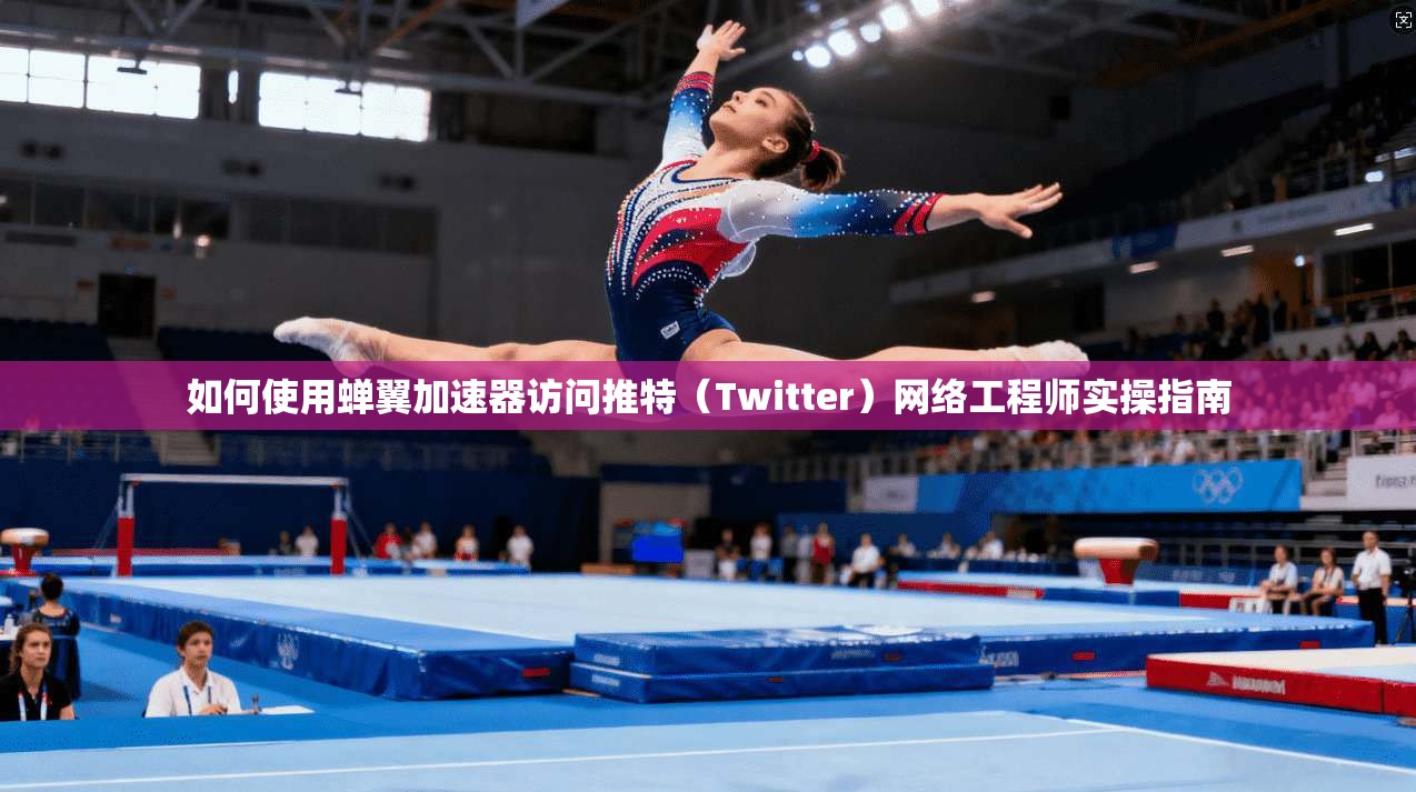 如何使用蝉翼加速器访问推特（Twitter）网络工程师实操指南