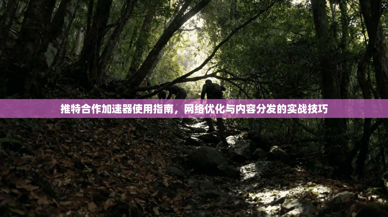 推特合作加速器使用指南，网络优化与内容分发的实战技巧