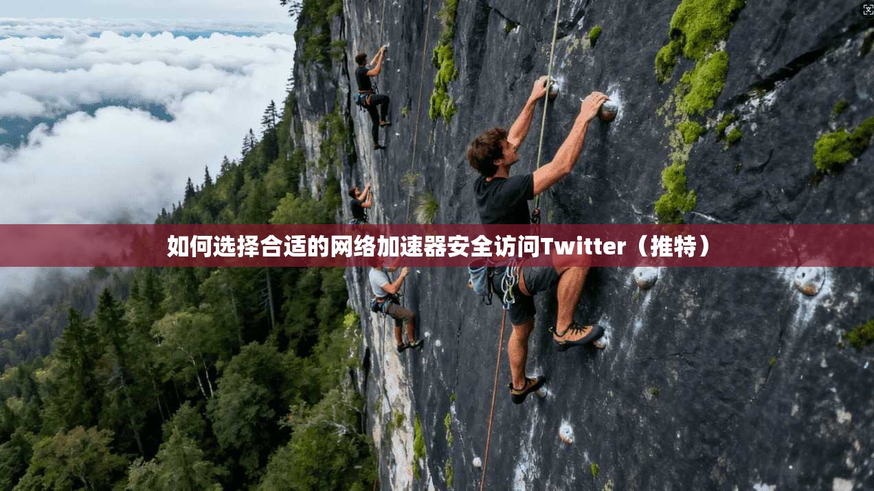 如何选择合适的网络加速器安全访问Twitter（推特）