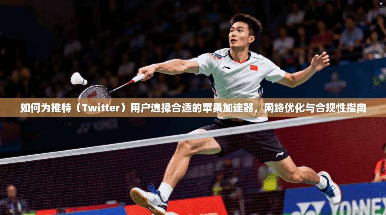 如何为推特（Twitter）用户选择合适的苹果加速器，网络优化与合规性指南