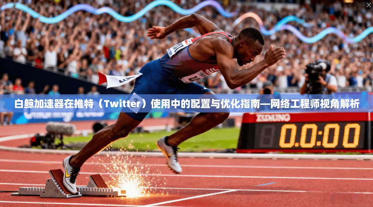 白鲸加速器在推特（Twitter）使用中的配置与优化指南—网络工程师视角解析